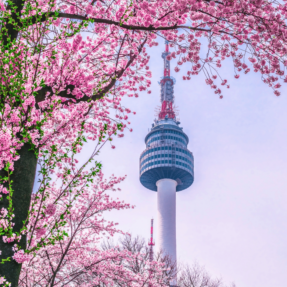 coreia_do_sul_5