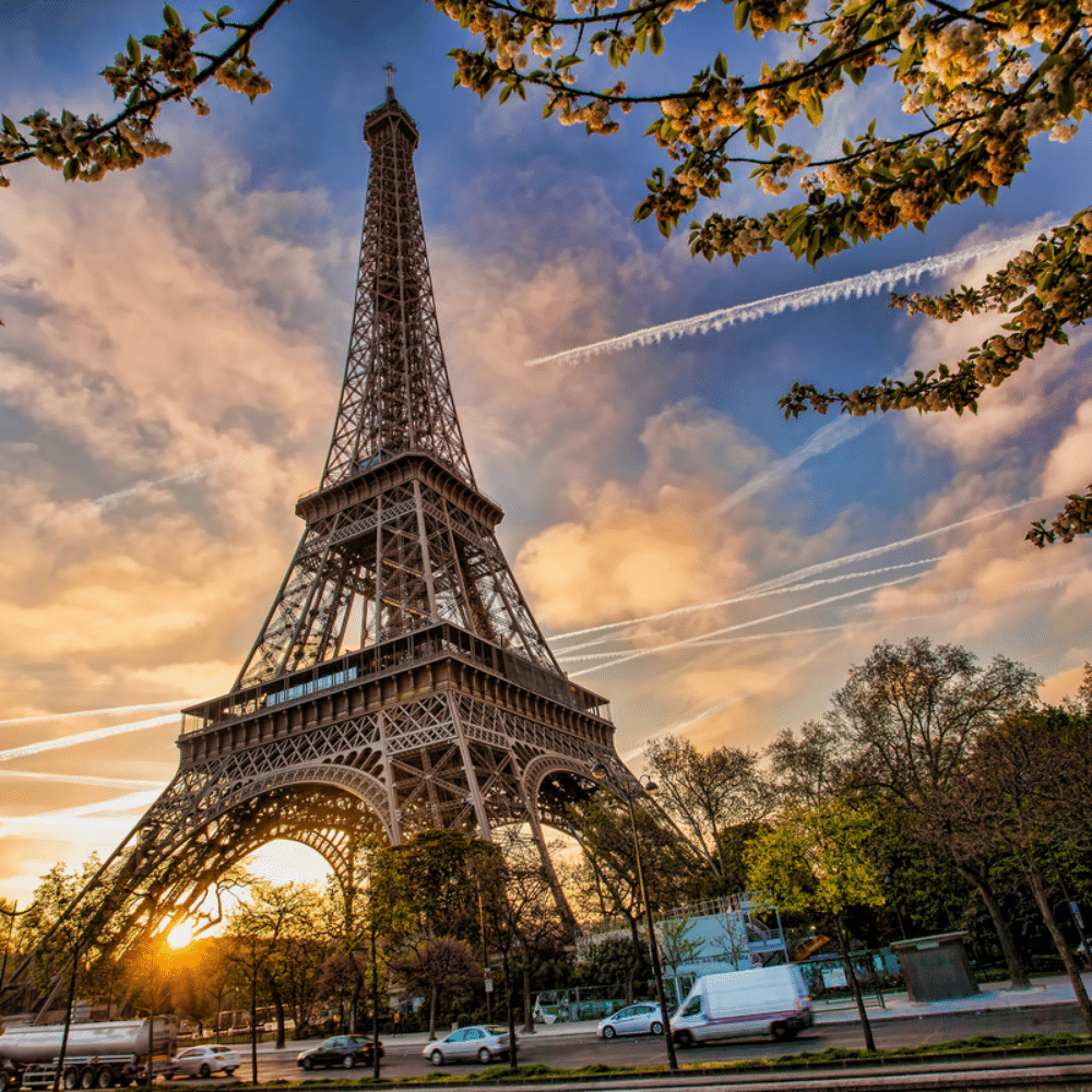 franca_7