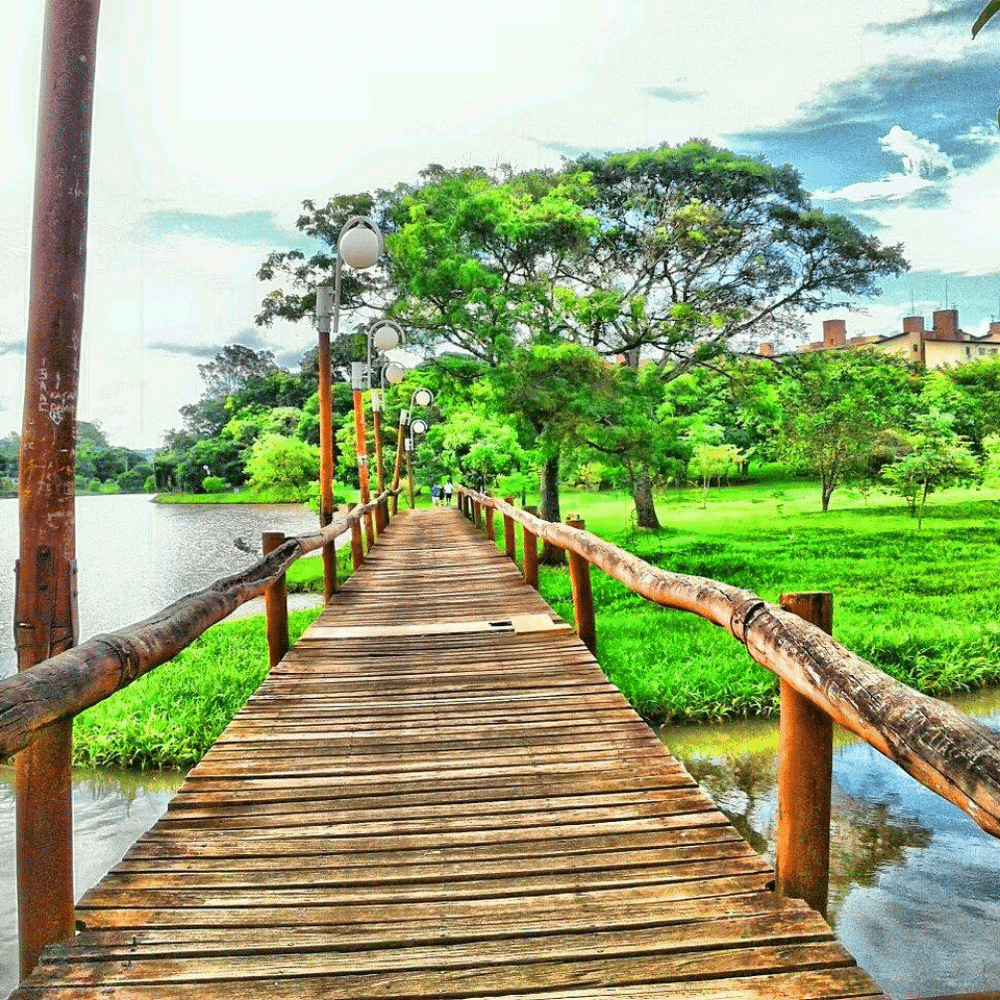 londrina_parana_1