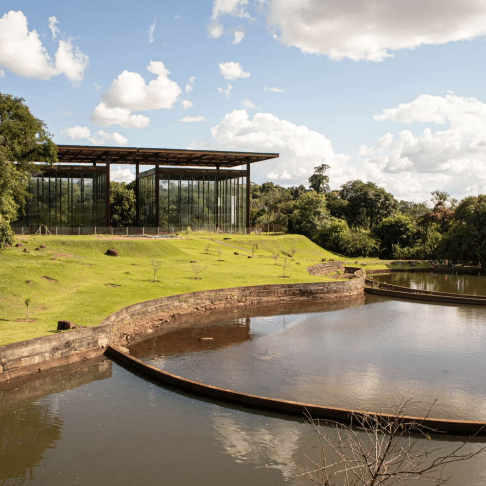 londrina_parana_2