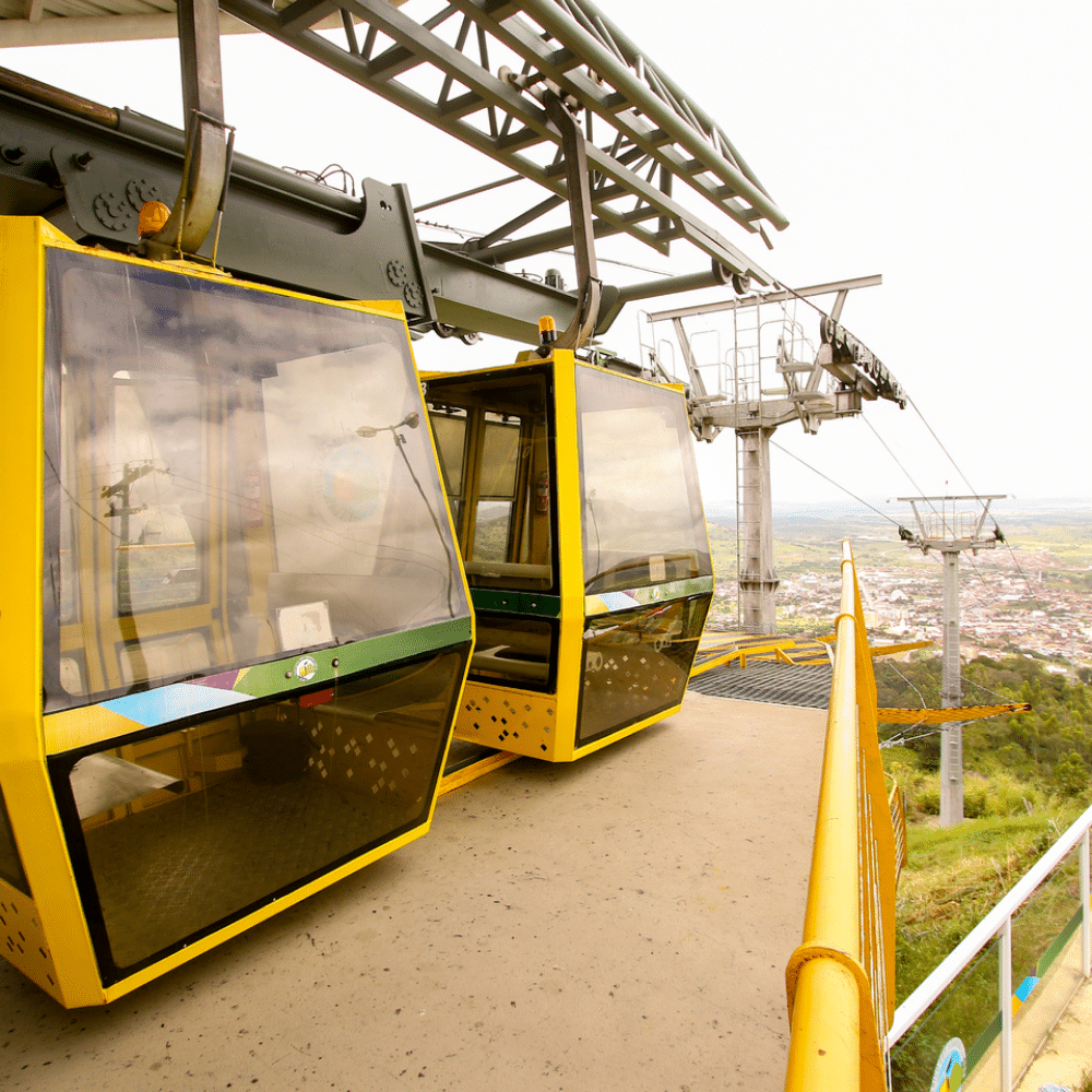 pernambuco_pernambuco_2