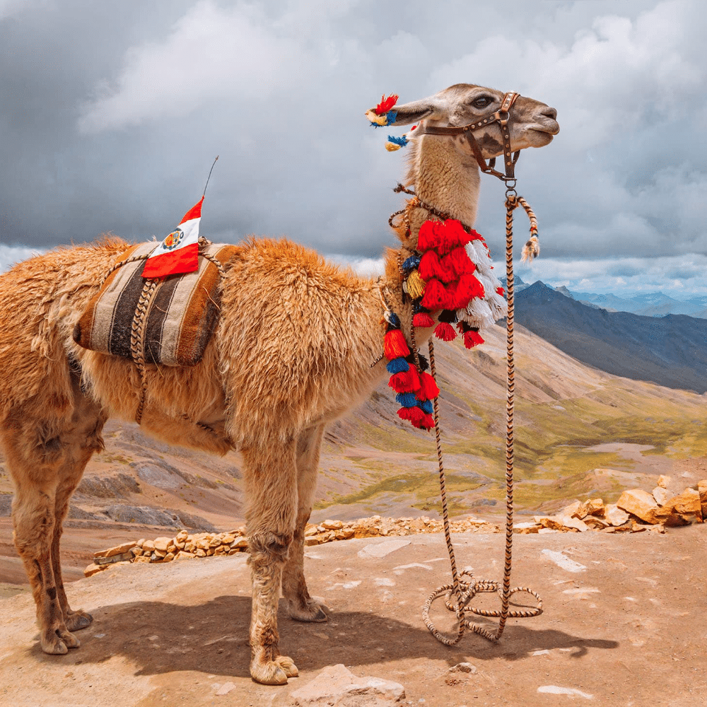 peru_2