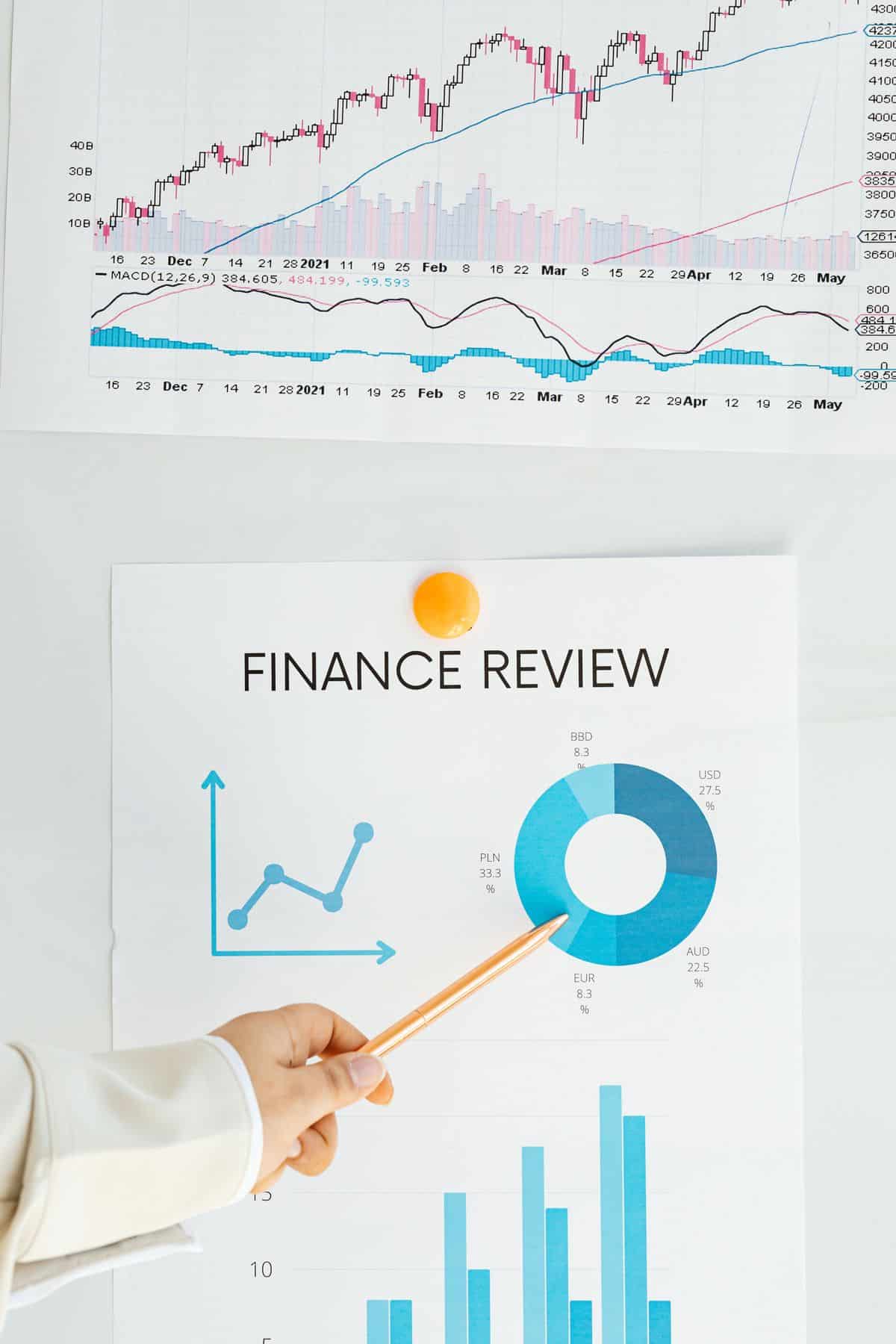 Relatorio financeiro com graficos e caneta apontando para grafico de pizza, representando a medicao de savings